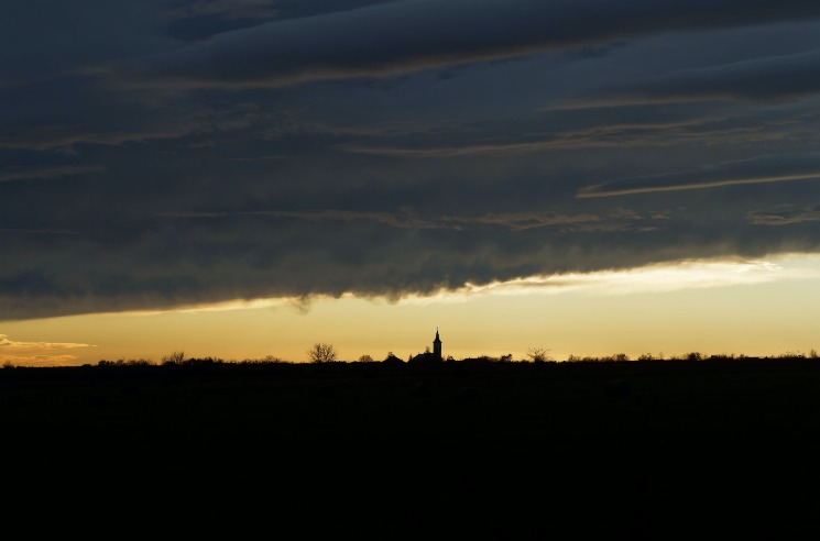 2026熱門球隊賠率