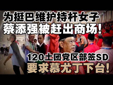 世界盃投注賠率趨勢