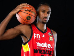 2026熱門球隊賠率